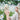 Human Butterfly et smykke om livets transformasjon